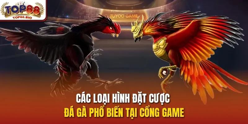 Các loại hình đặt cược đá gà phổ biến tại cổng game