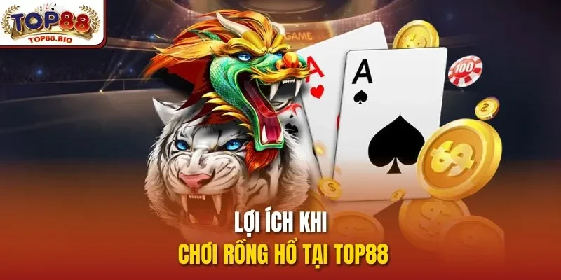 Lợi ích khi chơi Rồng Hổ tại top88