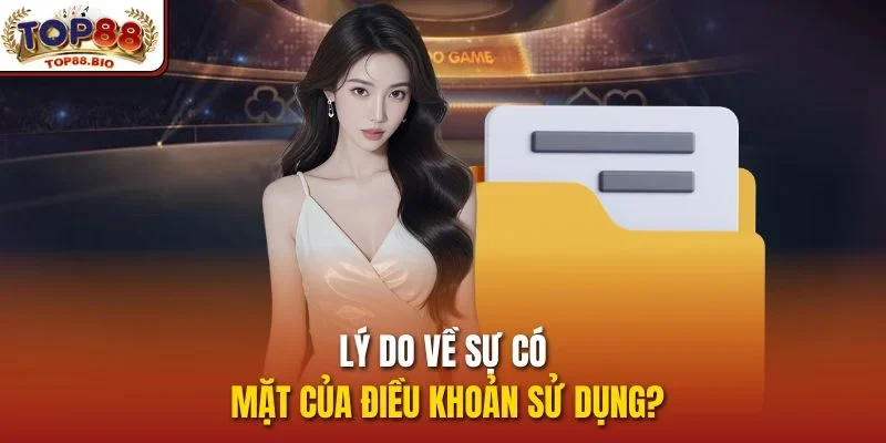 Lý do về sự có mặt của điều khoản sử dụng?