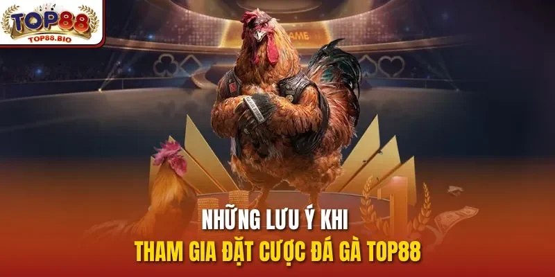 Những lưu ý khi tham gia đặt cược Đá gà top88